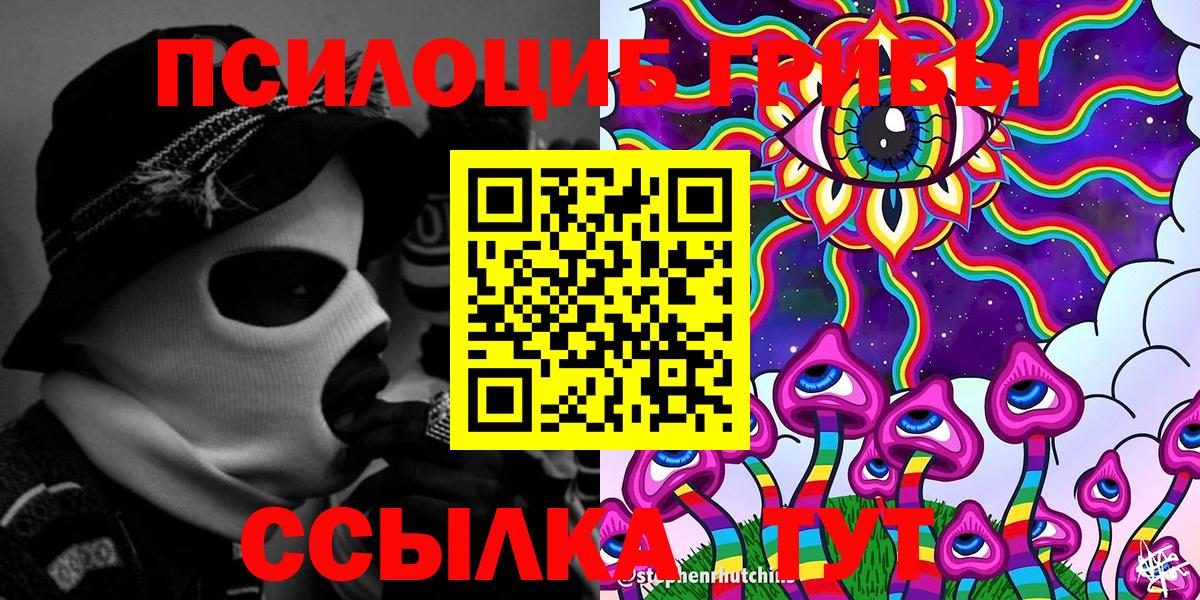 Псилоцибиновые грибы Psilocybe Белая Калитва