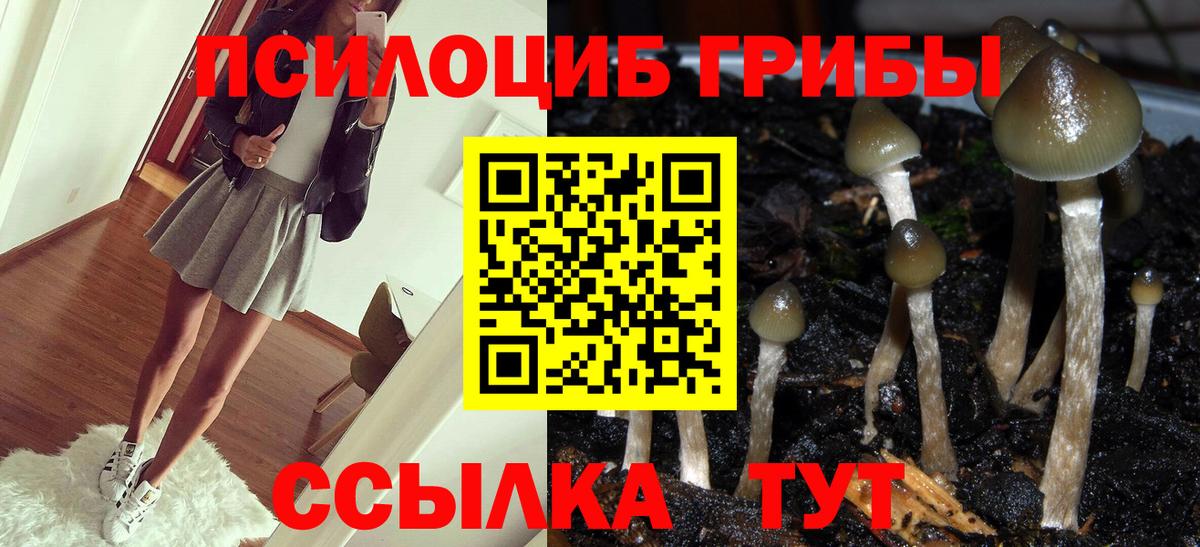 Псилоцибиновые грибы прущие грибы Белая Калитва