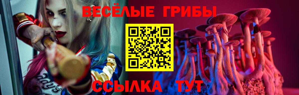 где можно купить наркотик  Белая Калитва  Галлюциногенные грибы прущие грибы  Псилоцибиновые грибы прущие грибы 