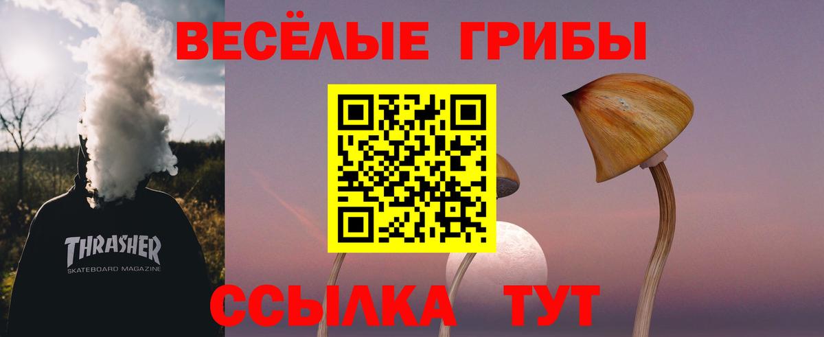 Белая Калитва  Галлюциногенные грибы прущие грибы  Вход с VPN  Галлюциногенные грибы GOLDEN TEACHER 